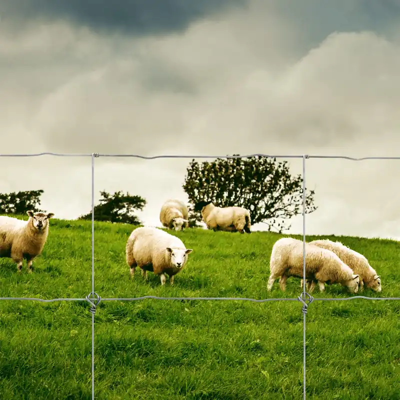 Fårstängsel Safe-Lock 90/6/15cm 50m Haggroth Stangsel Köp nu