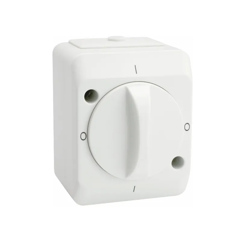 Reapris Kapslad Vridströmbrytare 2 Pol, IP44, Malmbergs 1893210